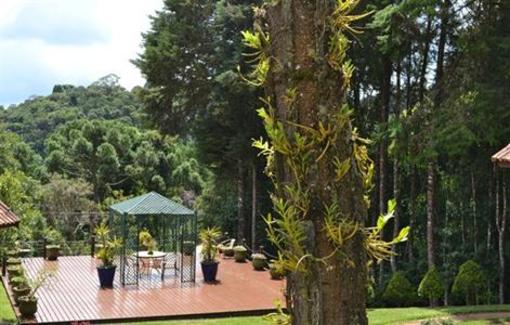 фото отеля Pousada Ana Terra