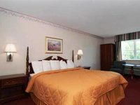 Comfort Inn Central Williamsburg (Virginia)