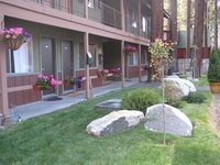 Alder Inn