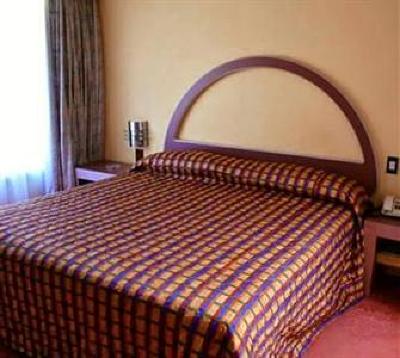 фото отеля Hotel Mision Aguascalientes