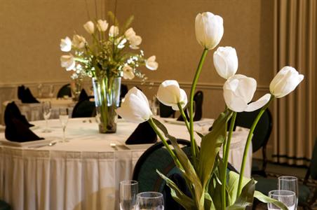фото отеля Hilton Garden Inn Airport Portland (Maine)