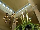 фото отеля Hilton Garden Inn Airport Portland (Maine)