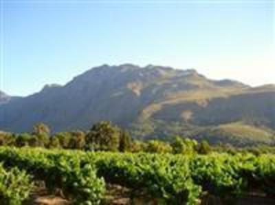 фото отеля Auberge Rozendal Guesthouse Stellenbosch