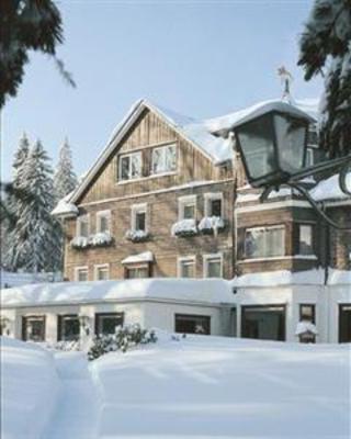 фото отеля Jagdhaus Wiese Hotel