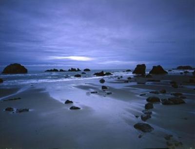 фото отеля Best Western Face Rock Inn Bandon