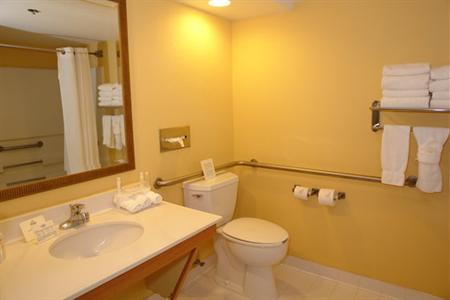 фото отеля Holiday Inn Express Pigeon Forge/Dollywood