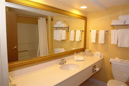 фото отеля Holiday Inn Express Pigeon Forge/Dollywood
