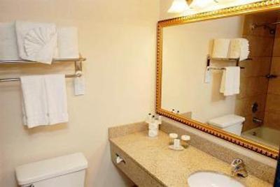 фото отеля Embassy Suites Hotel Chicago - Schaumburg / Woodfield