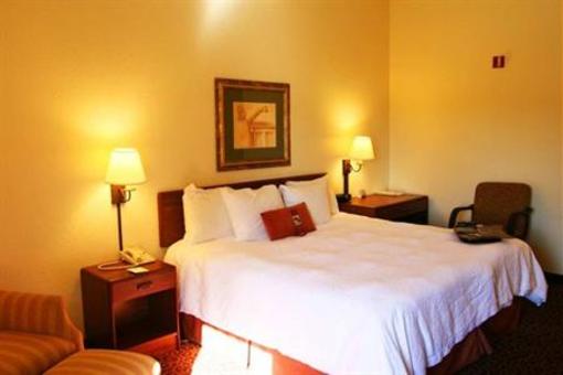 фото отеля Hampton Inn - University