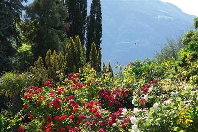 фото отеля Sonnenburg Hotel Merano