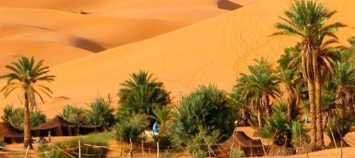 фото отеля Auberge Africa