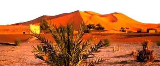 фото отеля Auberge Africa