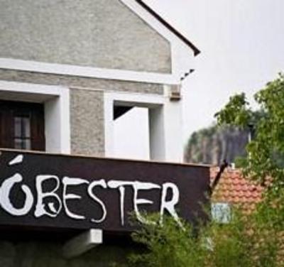 фото отеля Obester Panzio