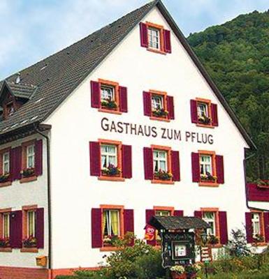фото отеля Gasthof zum Pflug
