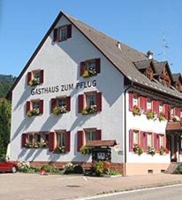 фото отеля Gasthof zum Pflug