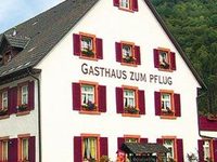 Gasthof zum Pflug