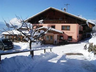 фото отеля Alpengasthaus Pinzgerhof Gasthof
