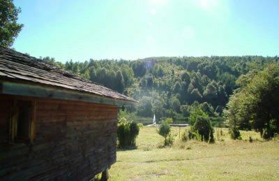 фото отеля Parque Huerquehue