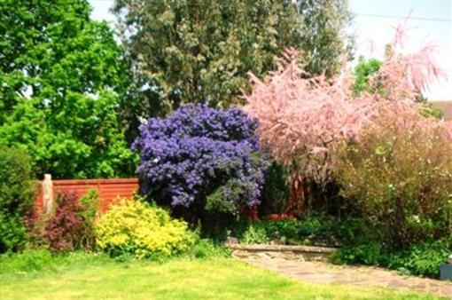 фото отеля Clay Farm Guest House London