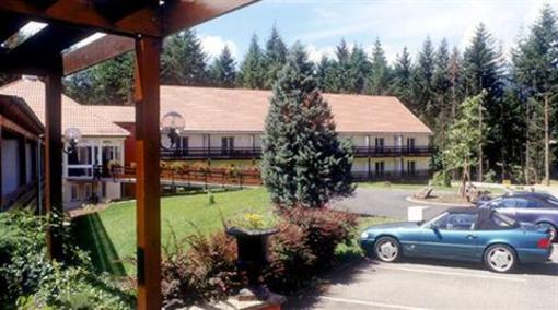 фото отеля Hotel La Vallee Noble Soultzmatt