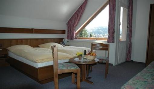 фото отеля Pension Haus Diefenbach Heimbach
