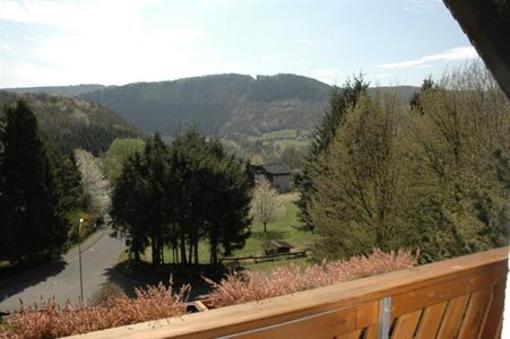 фото отеля Pension Haus Diefenbach Heimbach