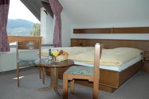 фото отеля Pension Haus Diefenbach Heimbach