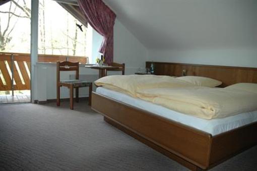 фото отеля Pension Haus Diefenbach Heimbach