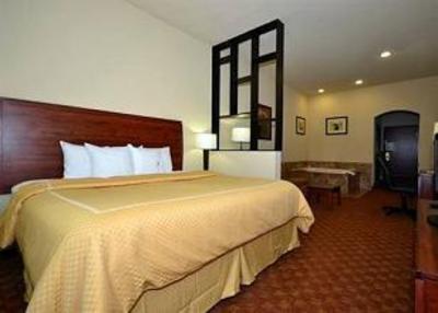 фото отеля Comfort Suites Webster