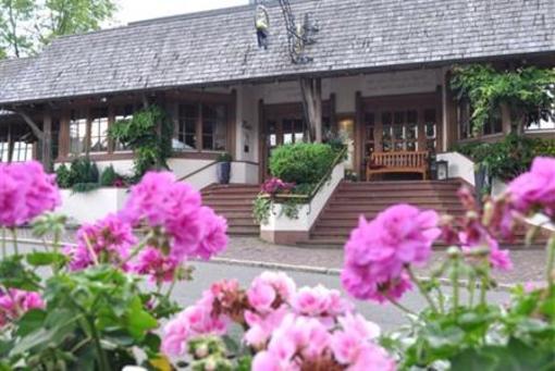 фото отеля Hotel Schwanen Kalberbronn Pfalzgrafenweiler