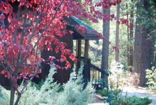 фото отеля Quiet Creek Inn Idyllwild