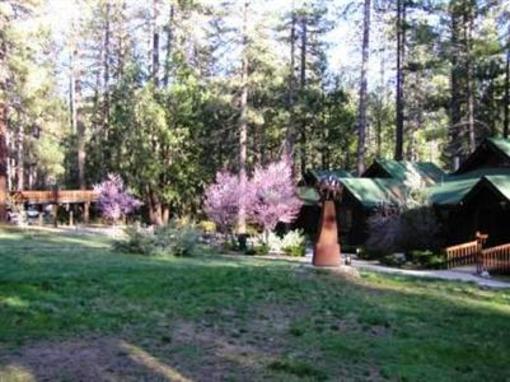 фото отеля Quiet Creek Inn Idyllwild