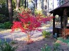 фото отеля Quiet Creek Inn Idyllwild