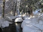 фото отеля Quiet Creek Inn Idyllwild