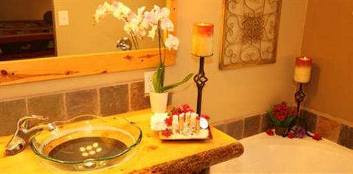 фото отеля Carson Ridge Private Luxury Cabins