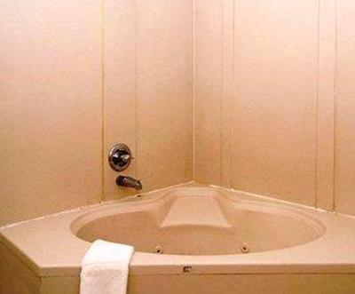 фото отеля Comfort Inn Wesley Chapel