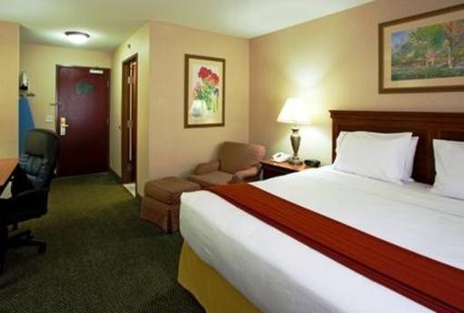 фото отеля Holiday Inn Express Rochester