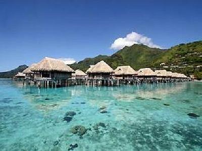 фото отеля Sofitel Moorea Ia Ora Beach Resort