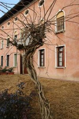 фото отеля Agriturismo Villa Mocenigo