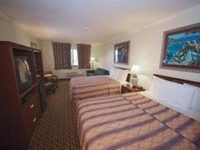 Orchid Suites