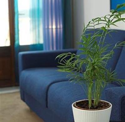 фото отеля Esplendido Hotel