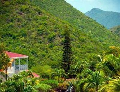 фото отеля Mount Nevis Hotel and Beach Club