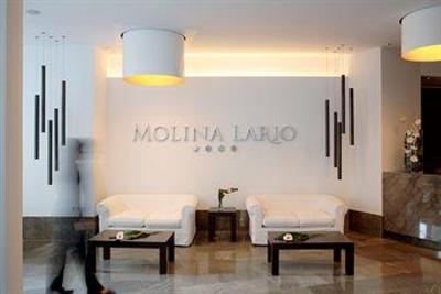 фото отеля Hotel Molina Lario