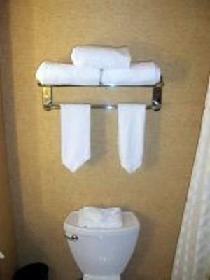 фото отеля Embassy Suites Charlotte - Concord / Golf Resort & Spa
