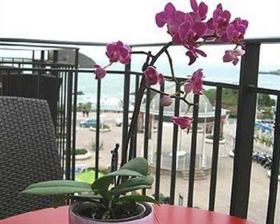 фото отеля Hotel Florida Biarritz