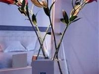 Lilium Villas Santorini