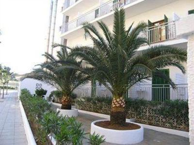 фото отеля Eix Hotel Alcudia