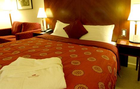 фото отеля Crowne Plaza Hotel Birmingham NEC