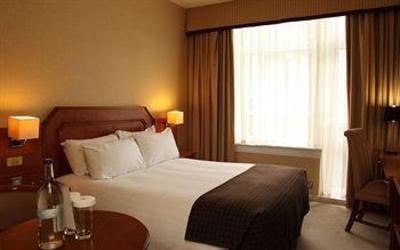 фото отеля Hilton Treetops