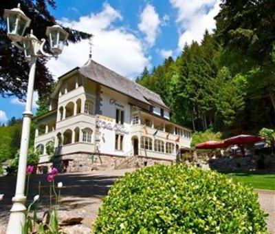 фото отеля Pension Villa Waldeck